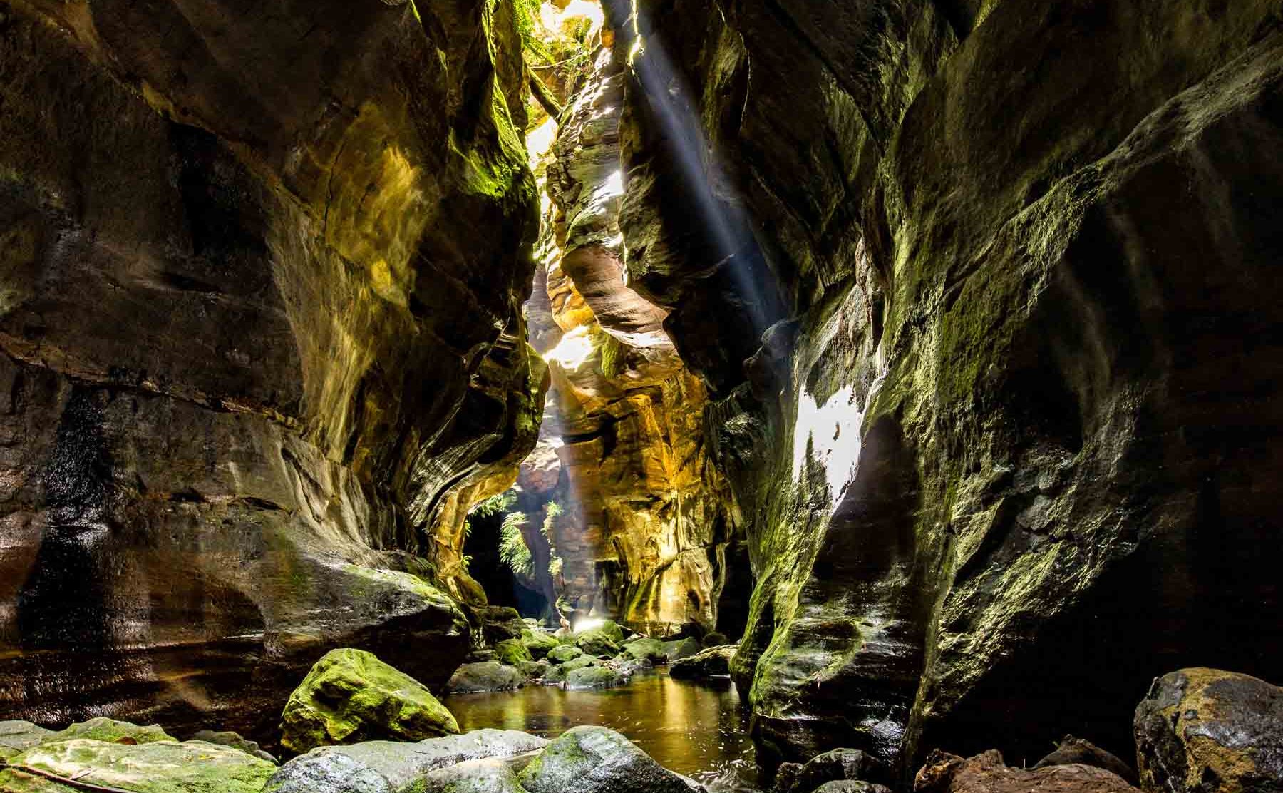 blue mountains canyoning tour